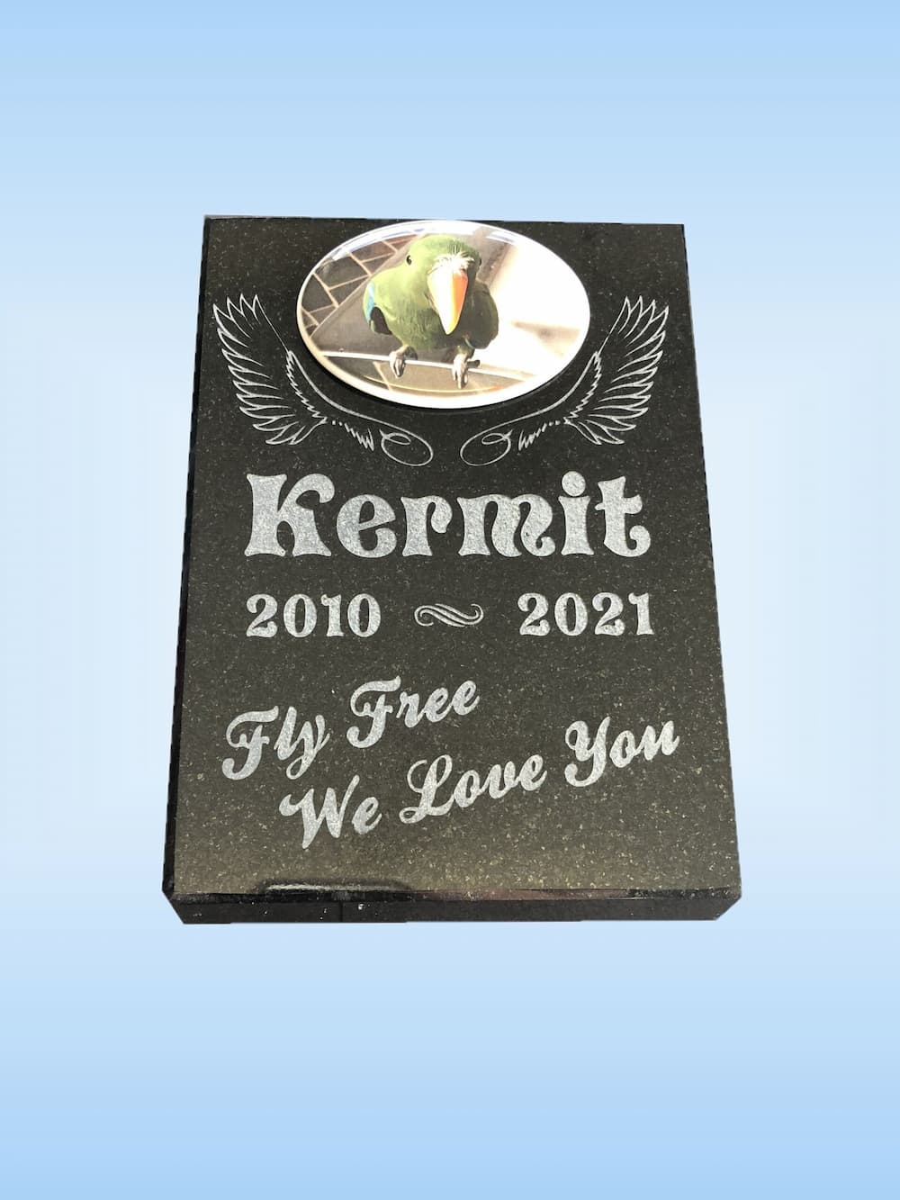 812e6c78_KERMIT-eb484084