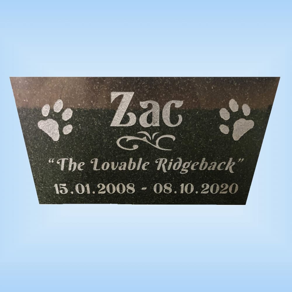 99ab9209_ZAC-4f8f5786